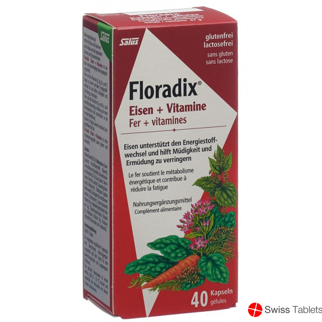 Floradix Vitamins + Organic Iron Capsules 40 Piece buy online