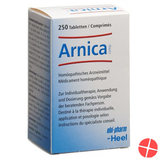 Arnica Comp Heel Tabletten 250 Stück