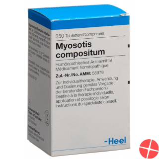 Myosotis Comp Heel Tabletten 250 Stück