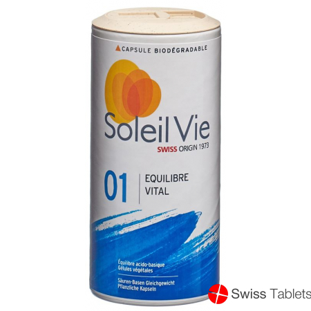 L Equilibre Vital Mineralsalzmischung Kapseln 145 Stück buy online