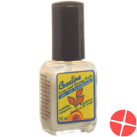 Crealine Nagelhaerter Long And Strong Matt 12ml