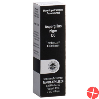 Sanum Aspergillus Niger Tropfen D 5 10ml