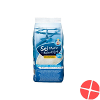 Danival Atlantisches Meersalz Grob 1kg