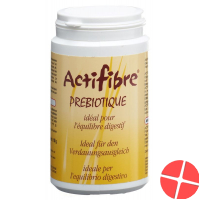 Actifibre Pulver 150g