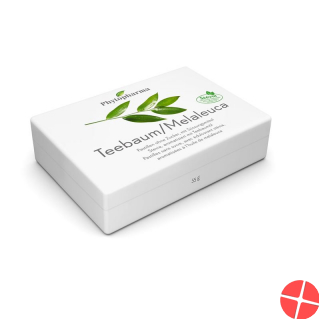 Phytopharma Teebaumoel Pastillen 40 Stück