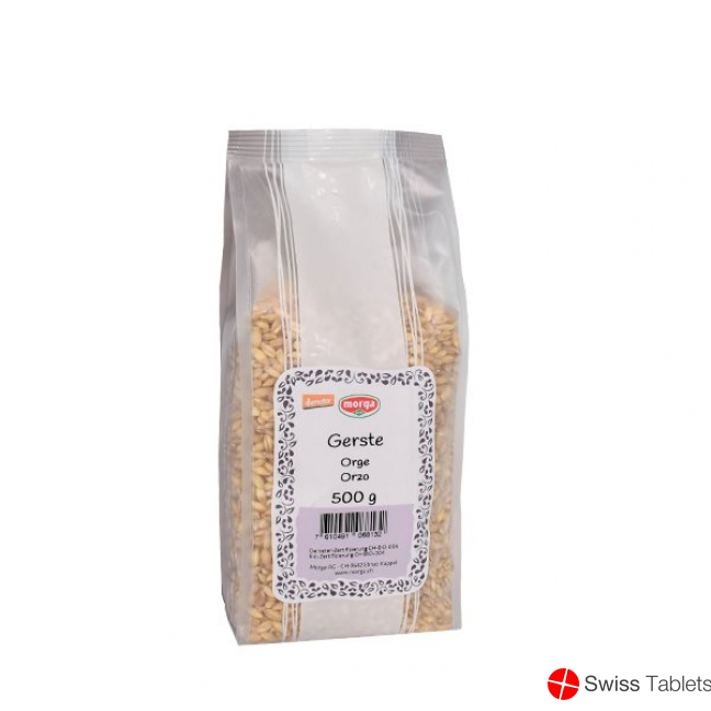 Holle Gersten Demeter 500g buy online