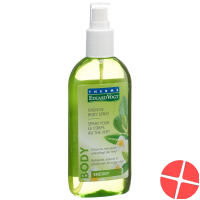 Vogt Therme Energy Body Spray Grüntee 200ml