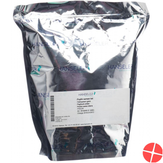 Haens Psyllii Semen Tot Pheur 500g