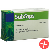 Sabcaps 100 Kapseln