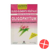 Holistica Oligophyt Magnesium Granulat 3x1 Dos
