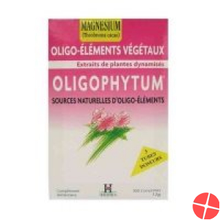 Holistica Oligophyt Magnesium Granulat 3x1 Dos