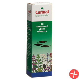 Carmol Rheumasalbe 80g