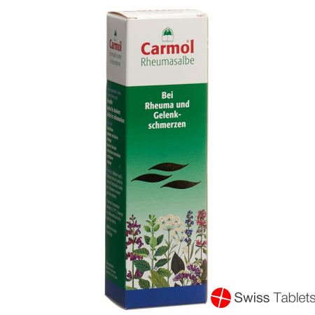 Carmol Rheumasalbe 80g buy online