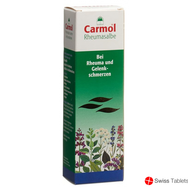 Carmol Rheumasalbe 80g buy online