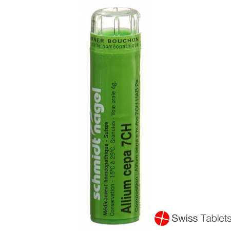 Sn Allium Cepa Granulat Ch 7 4g buy online
