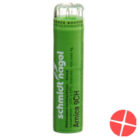 Sn Arnica Granulat Ch 9 4g