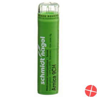 Sn Arnica Granulat Ch 9 4g