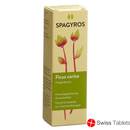 Spagyros Gemmo Ficus Carica Glyc Maz D 1 30ml buy online