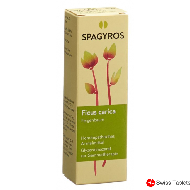 Spagyros Gemmo Ficus Carica Glyc Maz D 1 30ml buy online
