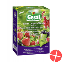 Gesal Beeren Langzeit Duenger 2.5kg