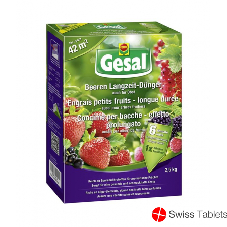 Gesal Beeren Langzeit Duenger 2.5kg buy online