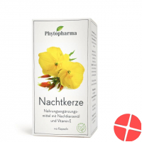 Phytopharma Nachtkerze Kapseln 500mg 110 Stück