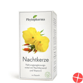 Phytopharma Nachtkerze Kapseln 500mg 110 Stück
