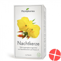 Phytopharma Nachtkerze Kapseln 500mg 190 Stück
