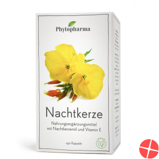 Phytopharma Nachtkerze Kapseln 500mg 190 Stück Phytopharma Nachtkerze Kapseln 500mg 190 Stück