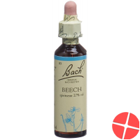 Bachblüten Beech Nr. 3 Flüssig 20ml