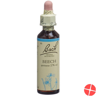 Bachblüten Beech Nr. 3 Flüssig 20ml