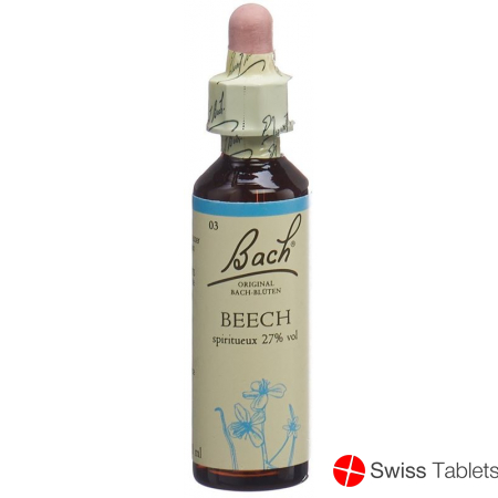 Bachblüten Beech Nr. 3 Flüssig 20ml buy online