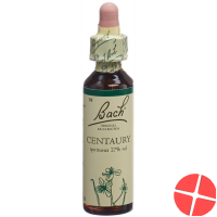 Bach-Blüten Centaury Nr. 4 20ml