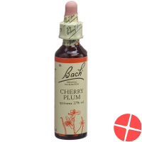 Bachblüten Cherry Plum Nr. 6 Flüssig 20ml