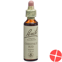 Bachblüten Chestnut Bud Nr. 7 Flüssig 20ml