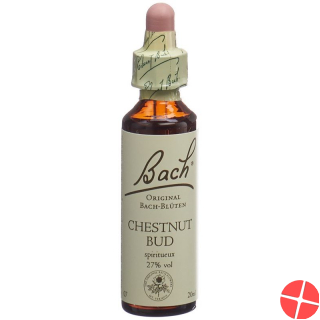 Bachblüten Chestnut Bud Nr. 7 Flüssig 20ml