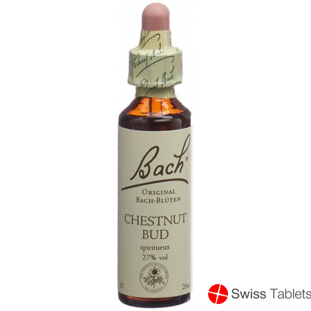 Bachblüten Chestnut Bud Nr. 7 Flüssig 20ml buy online