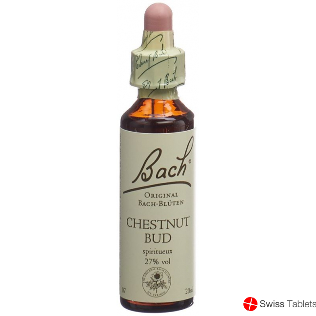 Bachblüten Chestnut Bud Nr. 7 Flüssig 20ml buy online