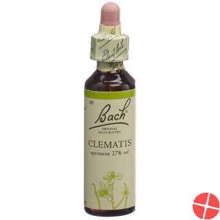 Bach flower Clematis No. 9 20 ml liquid