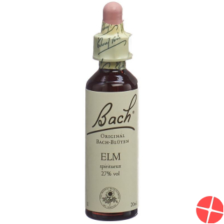 Bach Flower Elm No. 11 20 ml liquid