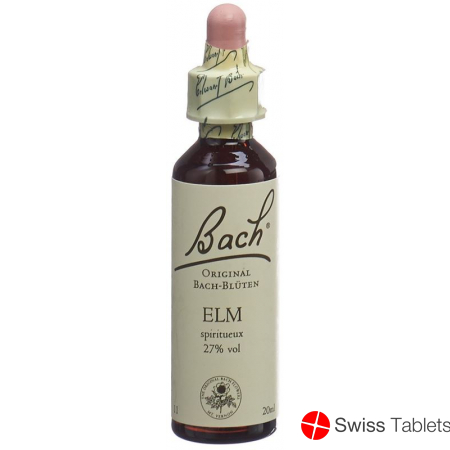 Bachblüten Elm Nr. 11 Flüssig 20ml buy online