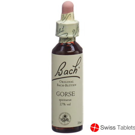 Bachblüten Gorse Nr. 13 Flüssig 20ml buy online