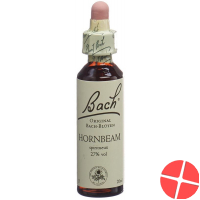 Bach-Blüten Original Hornbeam Nr.17 20ml