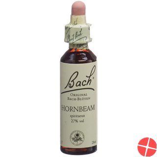Bach-Blüten Original Hornbeam Nr.17 20ml