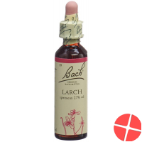 Bach Flower Larch No. 19 liquid 20 ml