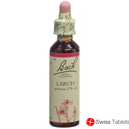 Bachblüten Larch Nr. 19 Flüssig 20ml buy online