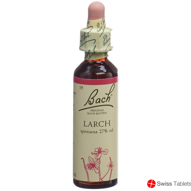 Bachblüten Larch Nr. 19 Flüssig 20ml buy online