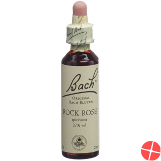Bach-Blüten Original Rock Rose Nr.26 20ml
