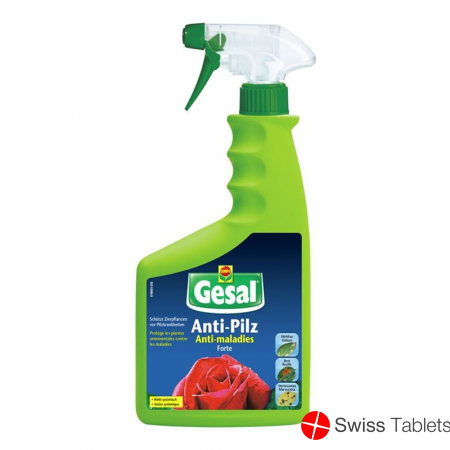 Gesal Anti Pilz Forte Spray 750ml buy online