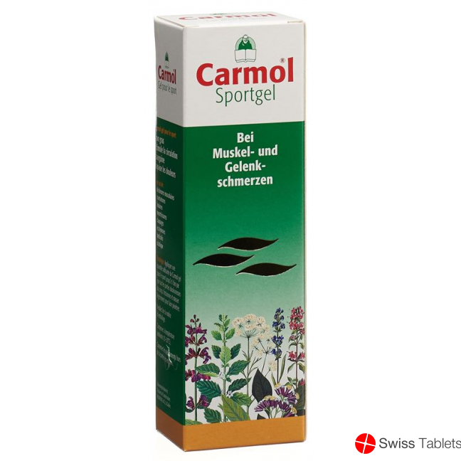 Carmol Sportgel 80ml buy online